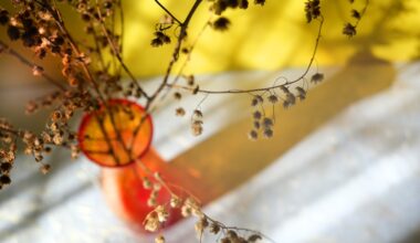 Pathways for positivity: It’s all a bit Wabi Sabi