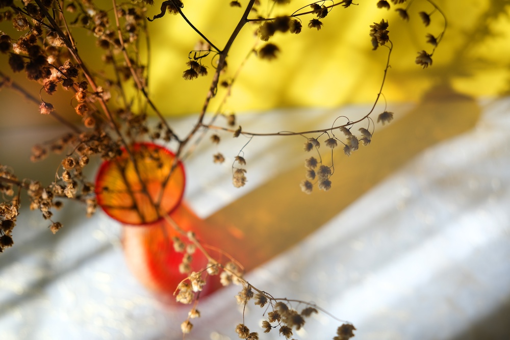 Pathways for positivity: It’s all a bit Wabi Sabi