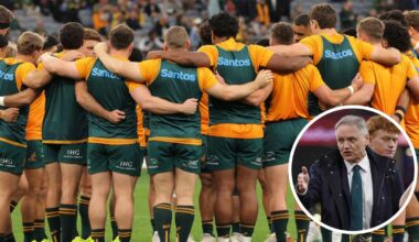 Joe Schmidt's new stance on 'safeguarding' Wallabies after 'betrayal' claim : Planet Rugby
