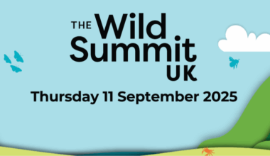 First ever Wild Summit heads to Bristol: New national gathering to supercharge UK nature recovery