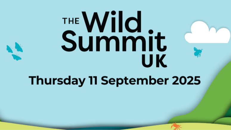 First ever Wild Summit heads to Bristol: New national gathering to supercharge UK nature recovery