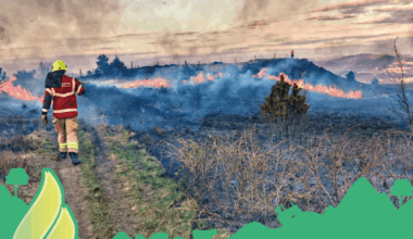 Wales faces a fourfold rise in wildfires, says wildfire board