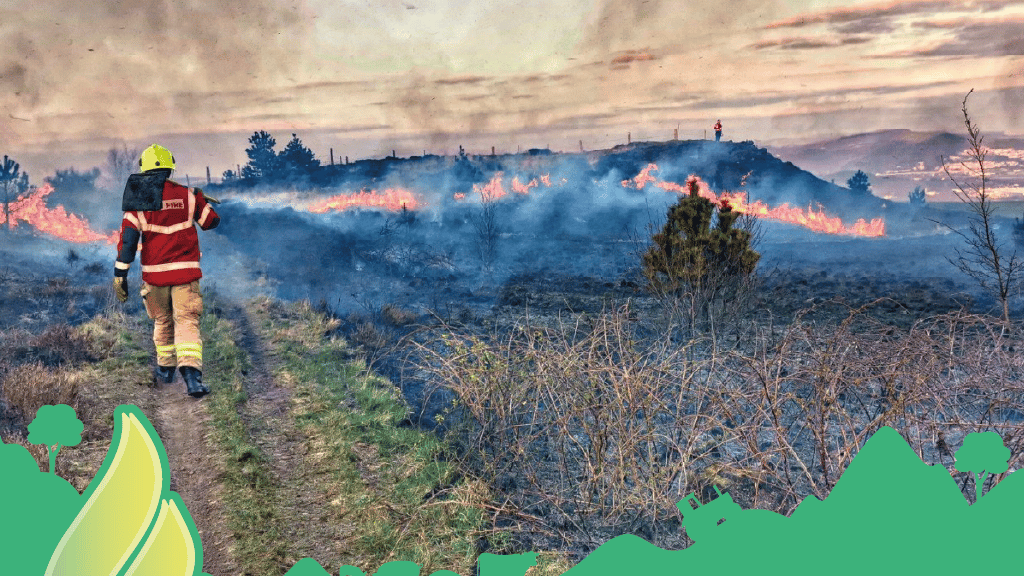 Wales faces a fourfold rise in wildfires, says wildfire board