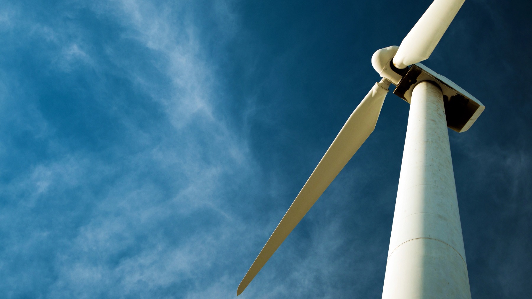 Wind Turbine in Amazon