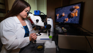 Undergraduate researcher gets hands-on look at ‘limitless possibilities’ of genetics