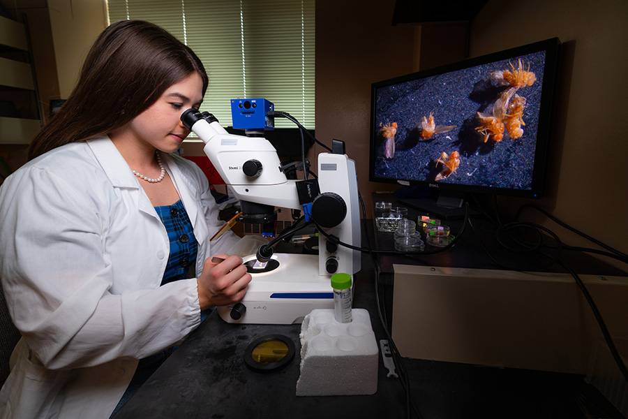 Undergraduate researcher gets hands-on look at ‘limitless possibilities’ of genetics
