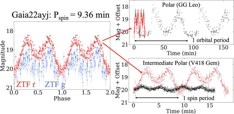 A 'teenage' white dwarf pulsar may be the missing link in magnetic stars