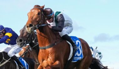 Rise At Dawn will back up in Saturday