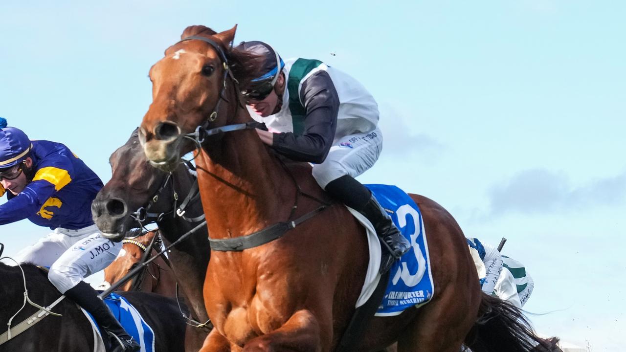 Rise At Dawn will back up in Saturday