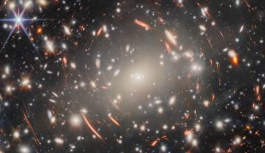 Webb Captures a Cosmic Forest of Ancient Galaxies
