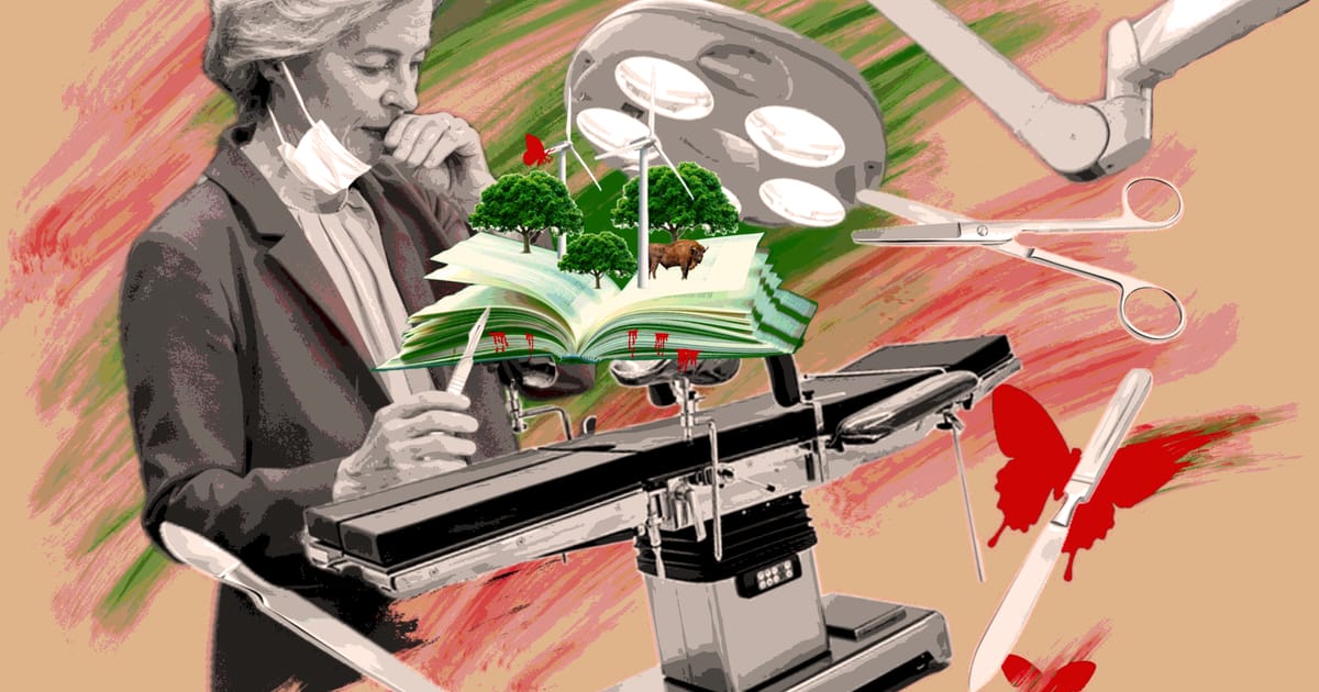Ursula von der Leyen amputates the Green Deal to save its life – POLITICO