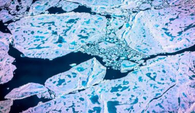 Arctic Sea Ice On July 19, 2022 As Captured On A Nasa Gulfstream V Plane