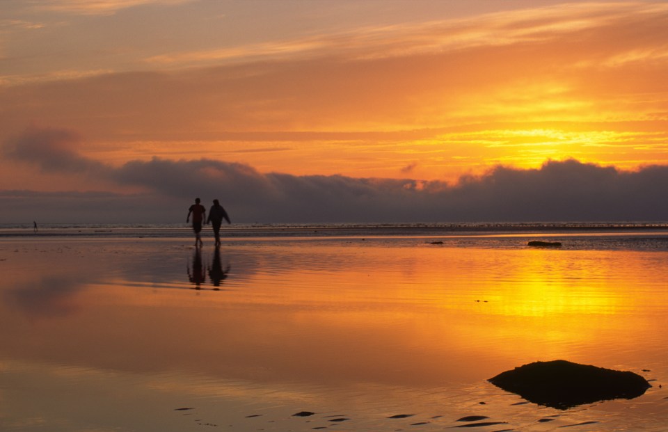 Couple silhouetted against a sunset on a beach.