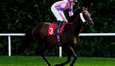 Knight hoping it can be third time lucky in Wolferton for Checkandchallenge | Ascot