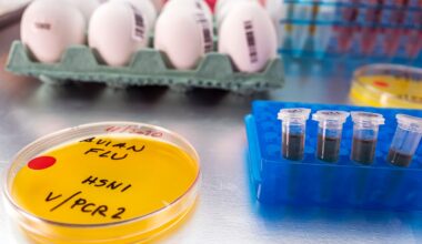 Bird flu outbreak spreads to farm in new UK region as chickens set to be culled & study finds chilling virus feature