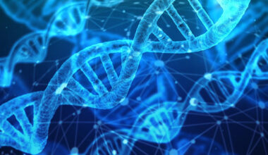Dna Genetic Material Helix Proteins Biology