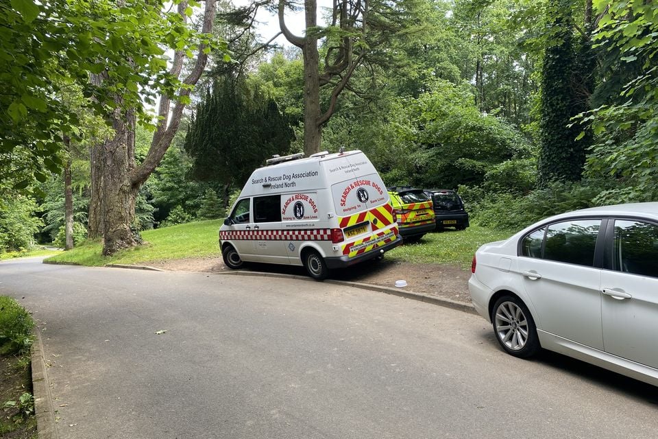 Today’s search at the Cave Hill Country Park began at the entrance opposite Gray's Lane and involved police dogs and members of the public. Photo by Stephanie Finnegan
