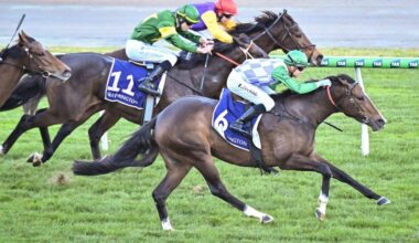 Splash Back, ridden by Tom Prebble, wins the Brian Beattie Handicap at Flemington. Picture: Reg Ryan / Racing Photos