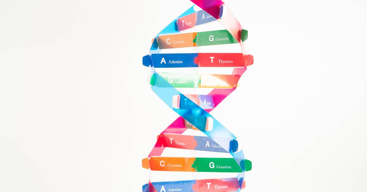 A Better Understanding of How Gene Editing Tools Work