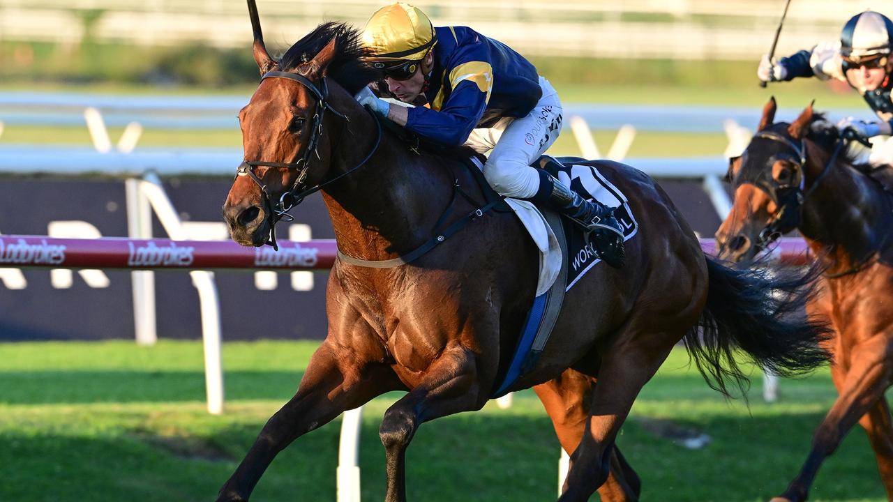 Supplied Editorial War Machine was elevated to Group 1 Stradbroke Handicap favouritism  after his dominant win in the BRC Sprint. Picture: Grant Peters, Trackside Photography.