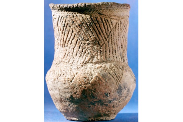 Late Neolithic/early Bronze Age ceramic with characteristic of a people known as the Beaker People.