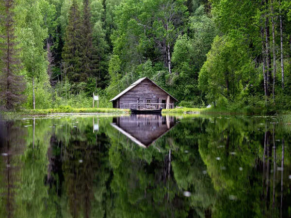 Bled