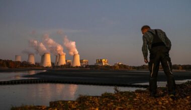 EU Set to Open Doors to Imported Carbon Credits Under 2040