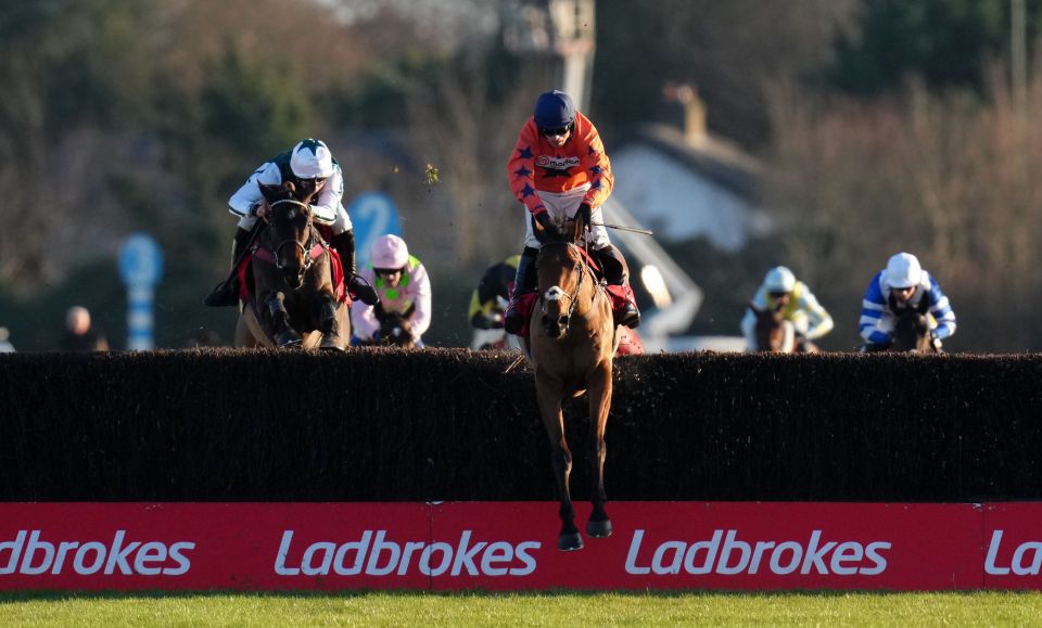Horse race at Kempton Racecourse.