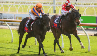 Cool Aza Rene (outside) gets the better of El Vaquero in the Bain McCall Memorial at Riccarton. Photo: Race Images South