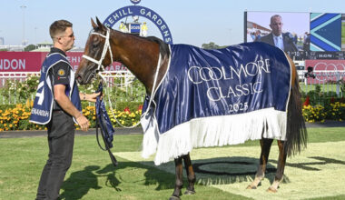 Lady Shenandoah beat older mares to win the G1 Coolmore Classic - image Bradley Photograohy