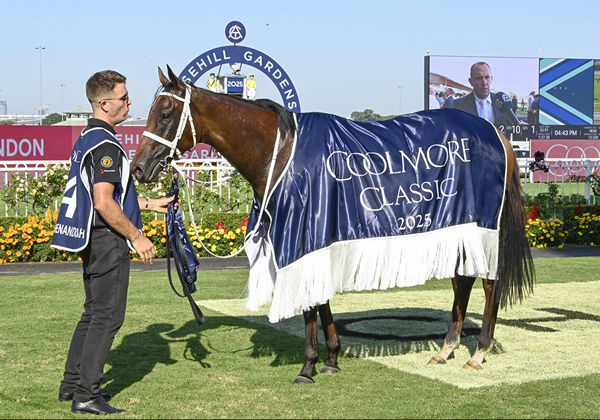 Lady Shenandoah beat older mares to win the G1 Coolmore Classic - image Bradley Photograohy