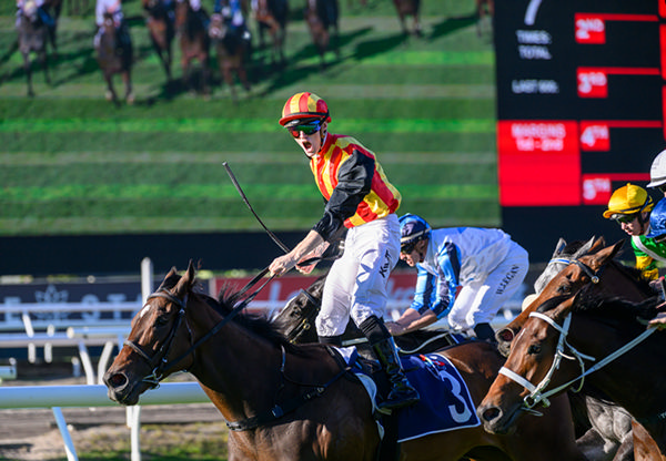 Palaispan won the G1 Tatts Tiara in the colours of Katsumi Yoshida - image Racing Queensland