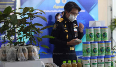 Bangkok Post - 3 herbs earn special status