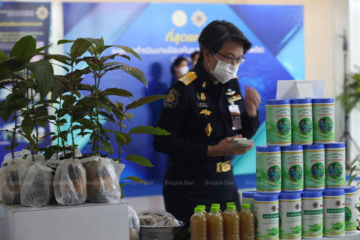Bangkok Post - 3 herbs earn special status