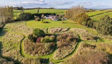 Five homes for sale around Northern Ireland that would be a haven for gardeners