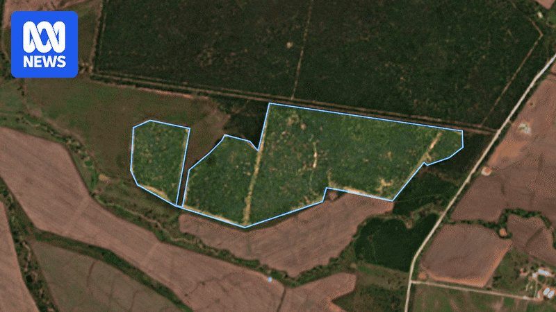 ACF says satellite evidence shows mass native habitat destruction by farmers
