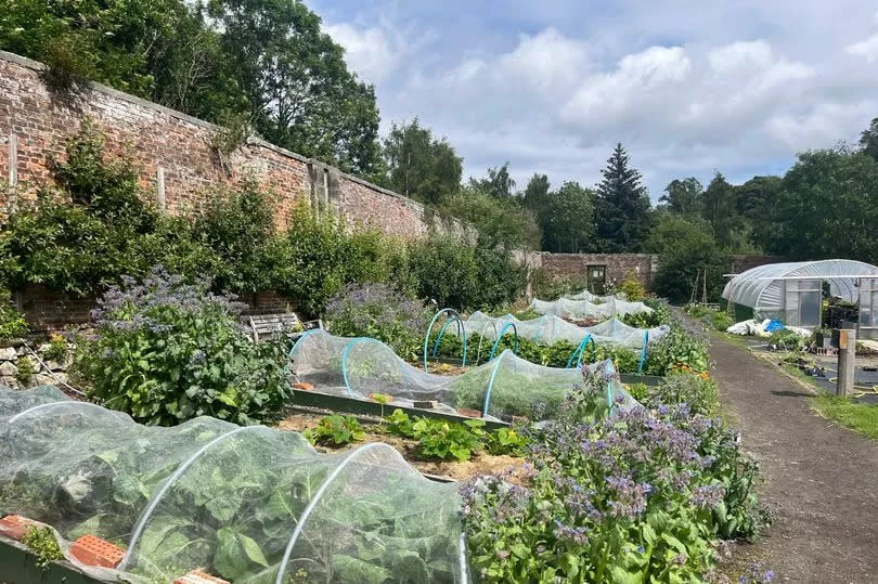 Trainees grow vegetables and flowers as well as maintain the entire garden