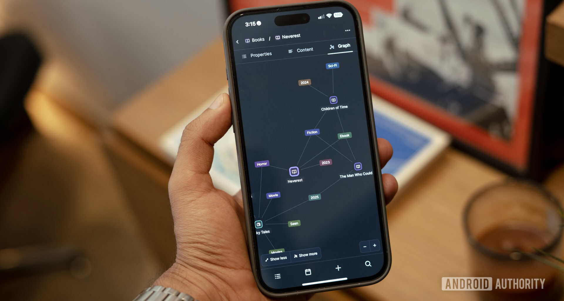 capacities vs notion graph view