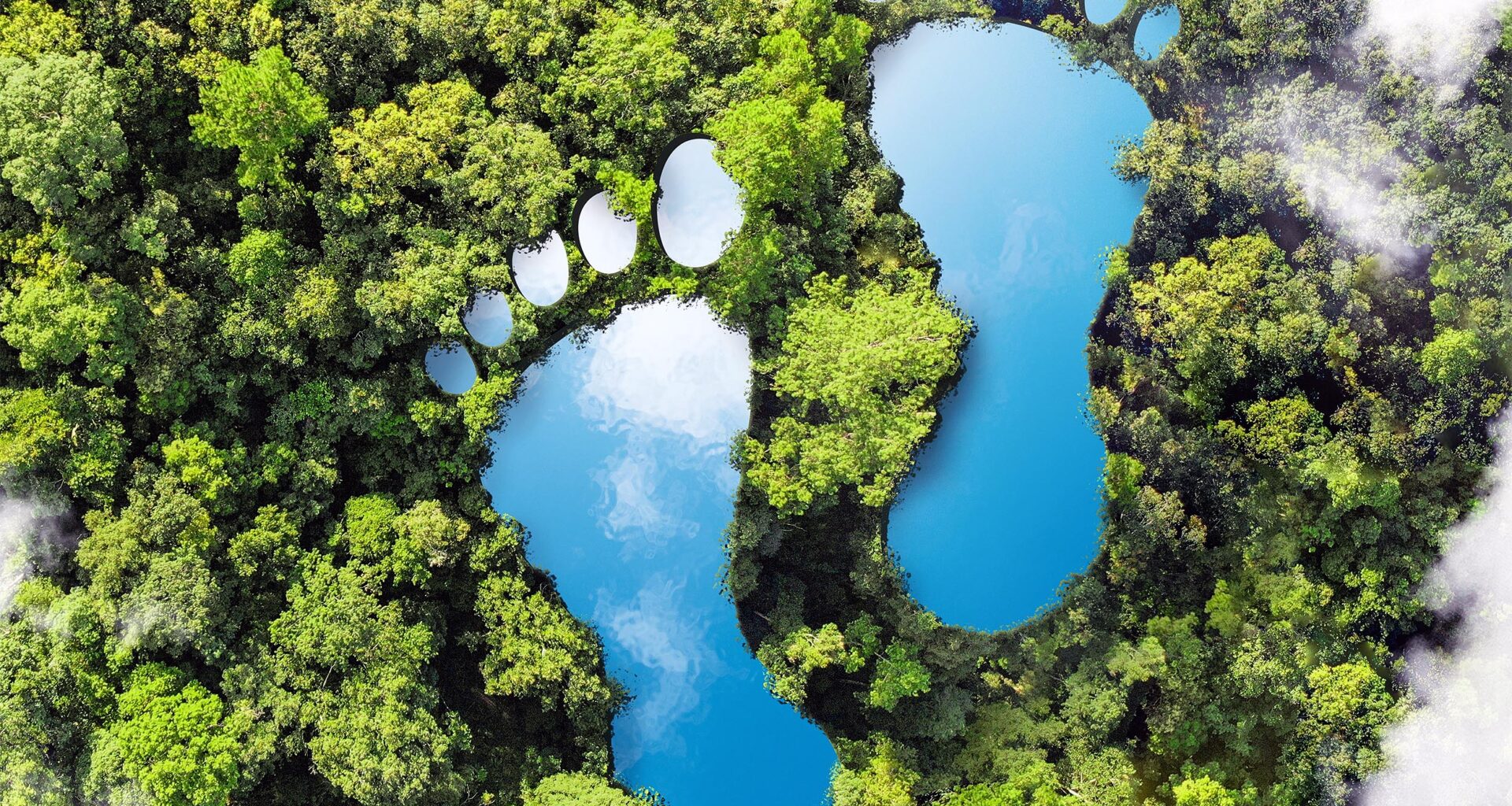 2025/06/carbon-footprint_individuals_underestimate_1m.jpg