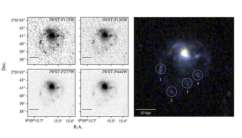 Catching a jellyfish in the sky: New galaxy discovered with the James Webb Space Telescope