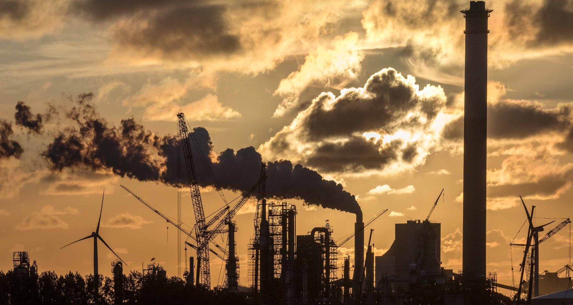 UK on track for ‘disorderly’ transition as companies delay climate action, study finds