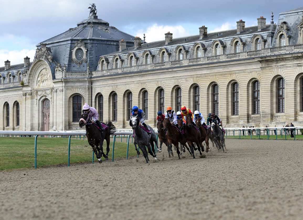 Second Annual Investigator Exchange Heads To France Then England