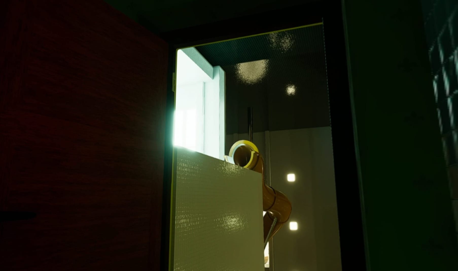 A dark room with a wooden door ajar, showing a weird room with a slide leading pass a tall cliff