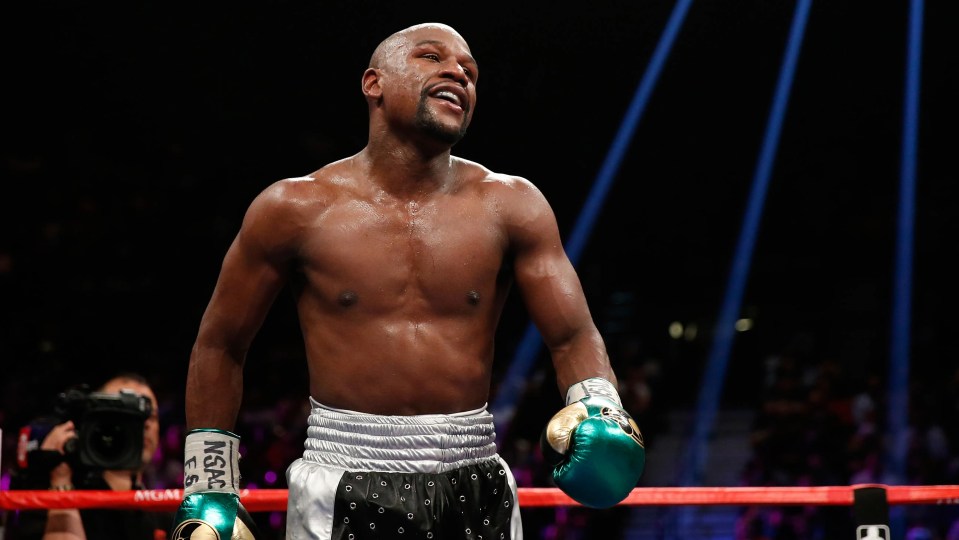 Mayweather was never beaten as a professional - so Castillo is in rare company