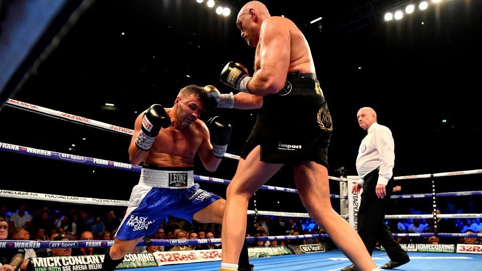 Fury battered Seferi in a truly routine win