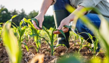 2025/06/crops-and-climate.jpg