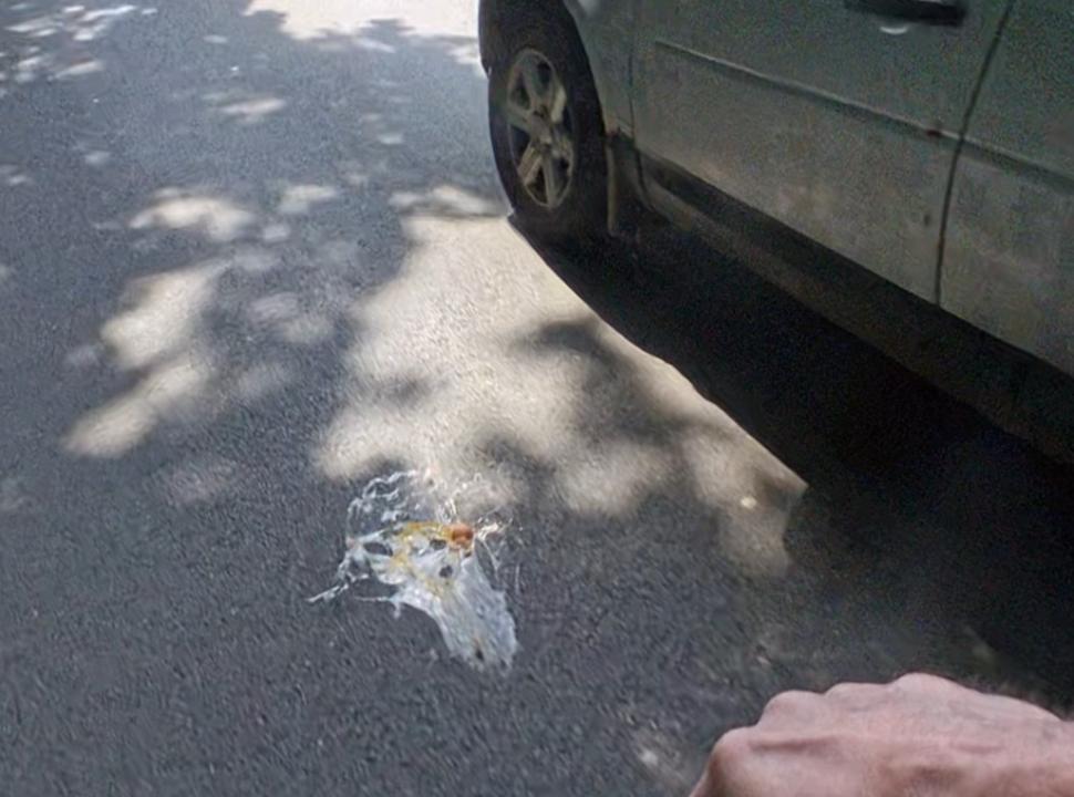 Cyclist hit with egg by car passenger 