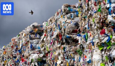Australia joins global 'wake-up call' to end plastic pollution, eyeing packaging importers