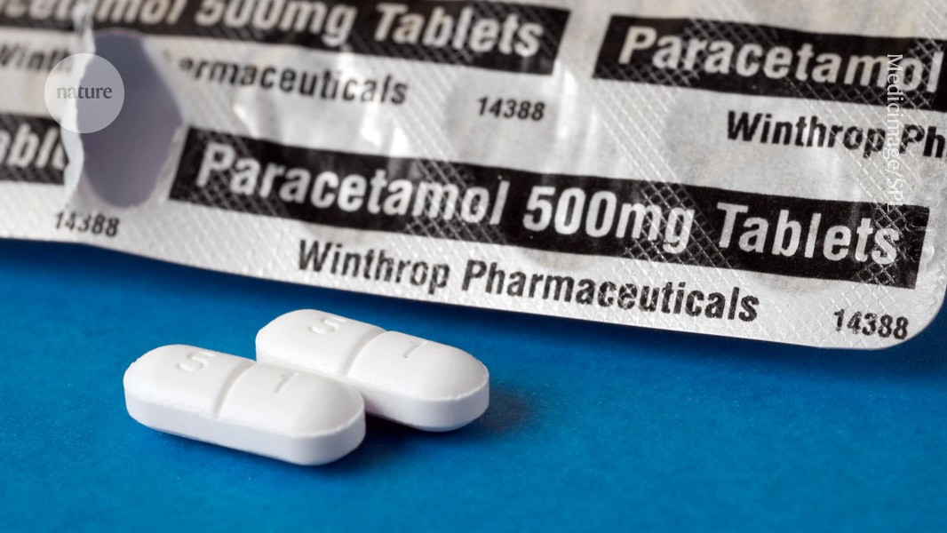 Everyday painkiller made from plastic — by E. coli
