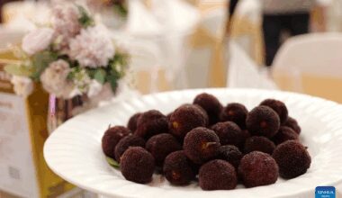 Waxberries from China wow German diners after 9,000 km journey-Xinhua